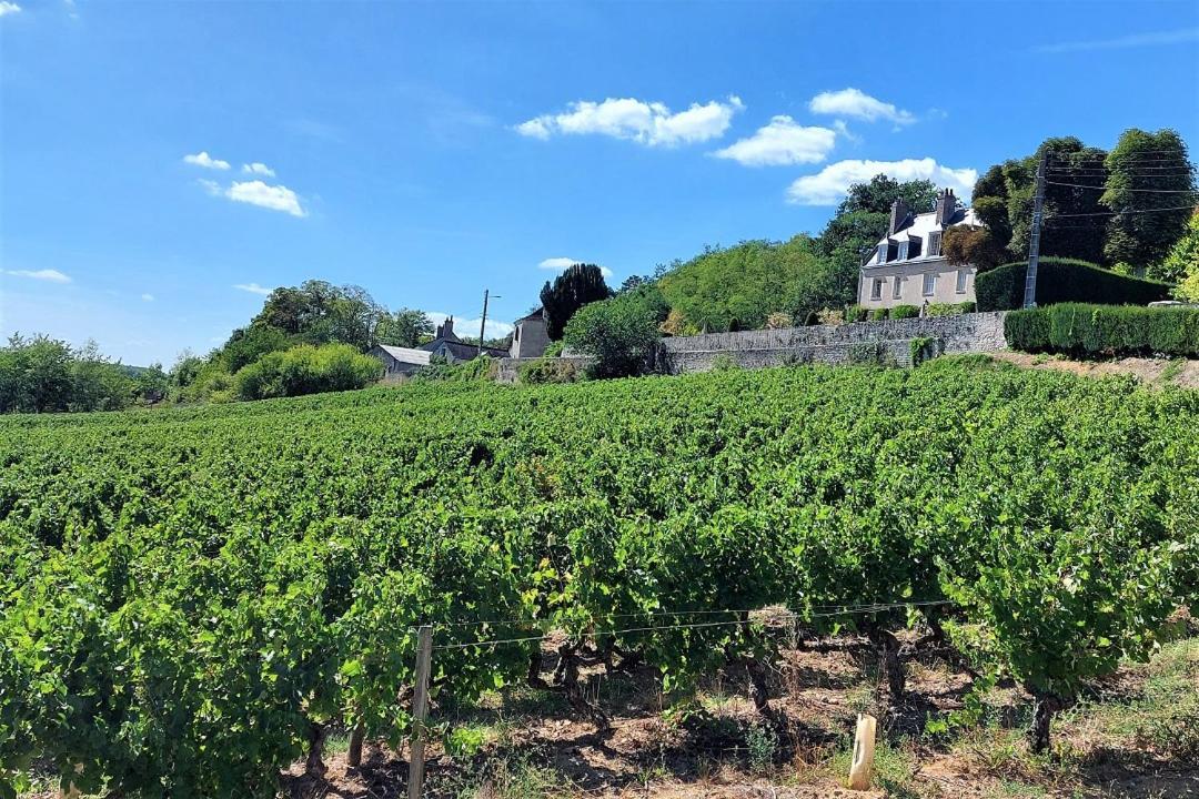 Le Catalane Lägenhet Tours Exteriör bild